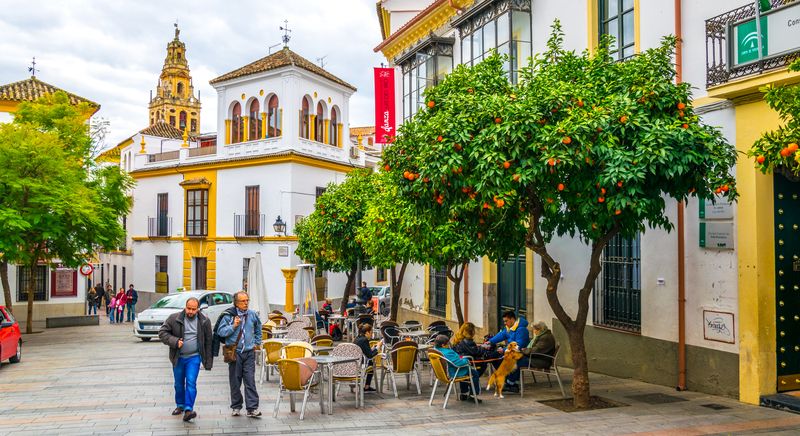 ANDALUZIJA (SEVILJA - GRANADA - KORDOBA - MARBELJA), 12-16.01.2025., 545.00€ 